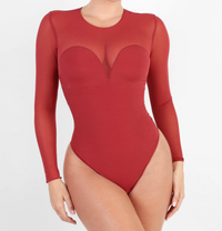 The Mesh Illusion Bodysuit